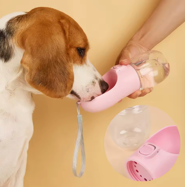 Gourde portable Cani Fresh